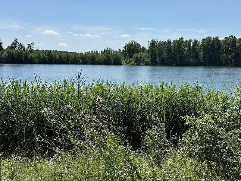 Die FKK Plätze am Klausensee in Schwandorf