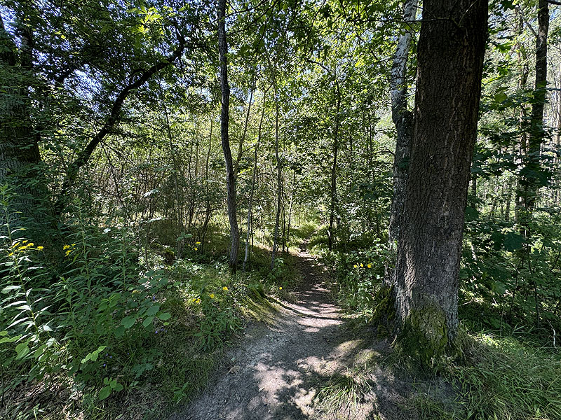 Die FKK Plätze am Klausensee in Schwandorf