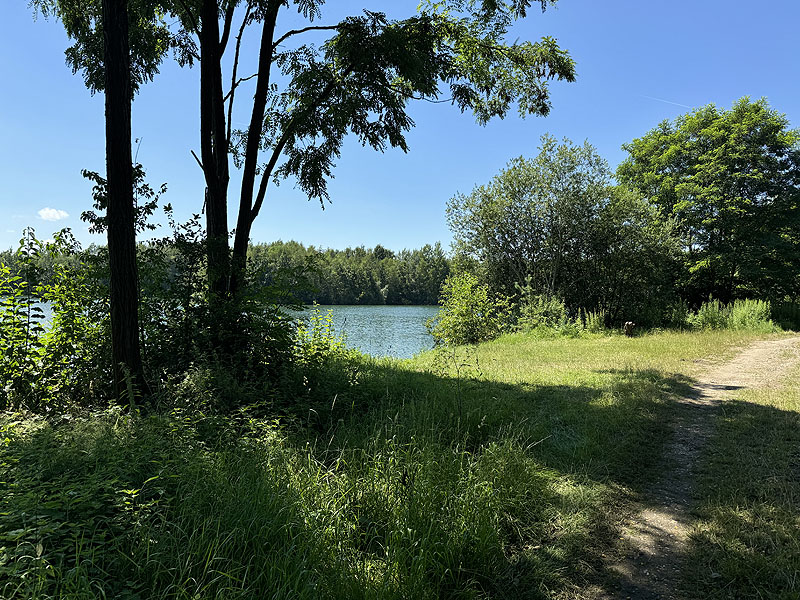 Die FKK Plätze am Klausensee in Schwandorf