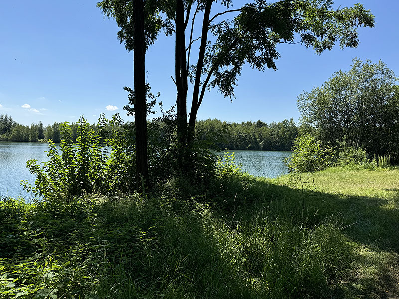Die FKK Plätze am Klausensee in Schwandorf