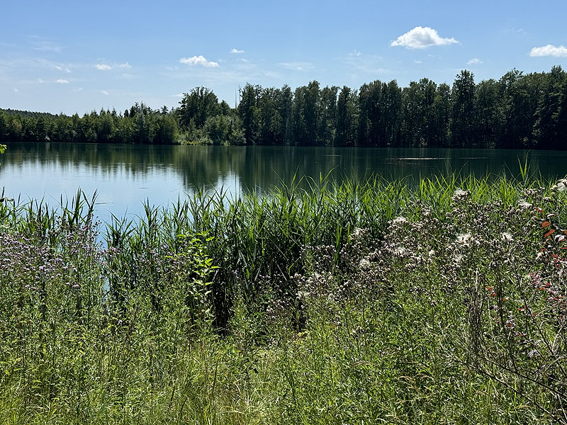 Die FKK Plätze am Klausensee in Schwandorf