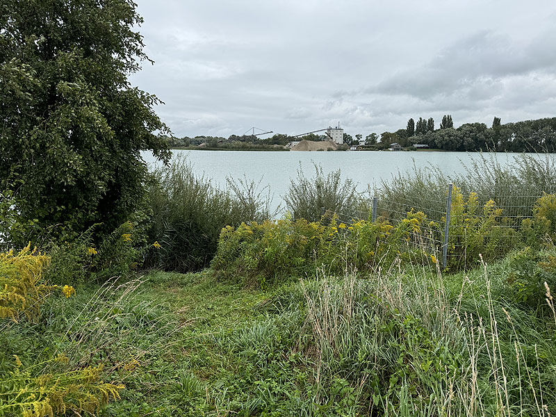 Der FKK Bereich am Kronthaler Weiher in Erding