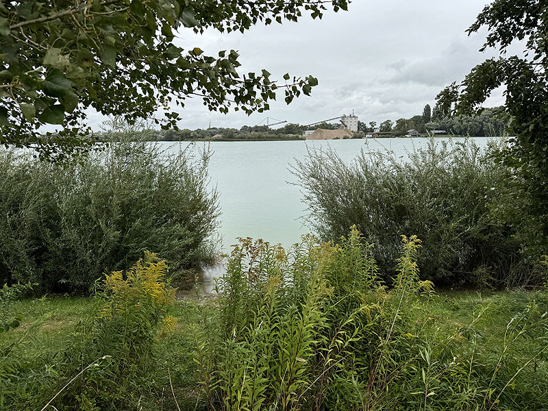 Der FKK Bereich am Kronthaler Weiher in Erding