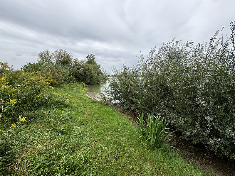 Der FKK Bereich am Kronthaler Weiher in Erding