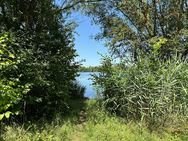 Die FKK Plätze am Wagersee in Dillingen an der Donau