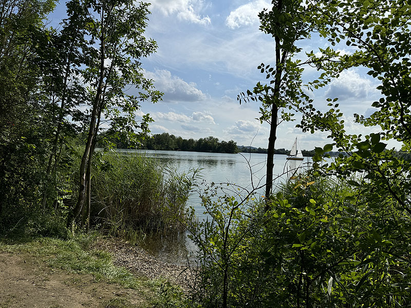 Die FKK Plätze am Wagersee in Dillingen an der Donau
