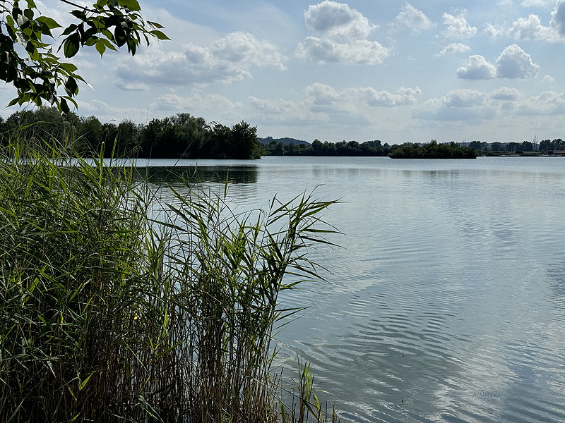 Die FKK Plätze am Wagersee in Dillingen an der Donau