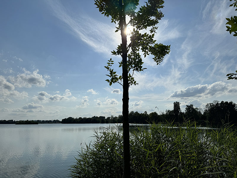 Die FKK Plätze am Wagersee in Dillingen an der Donau