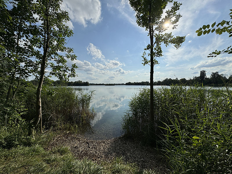 Die FKK Plätze am Wagersee in Dillingen an der Donau