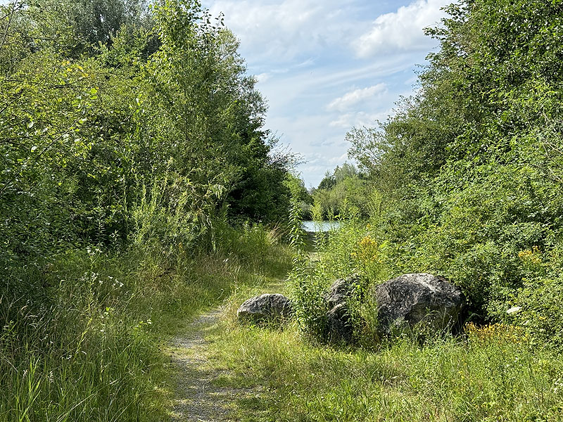 Die FKK Plätze am Wagersee in Dillingen an der Donau